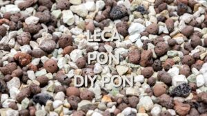 LECA vs Lechuza Pon vs DIY Pon Which is Cheapest