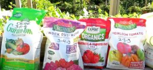 organic fertilizers for houseplants
