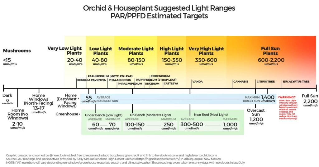 plant light requirements