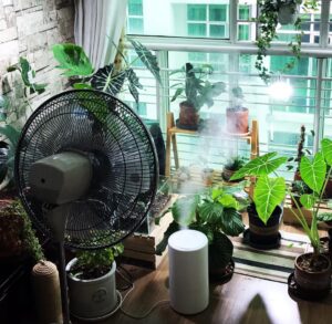 fan for houseplants 1